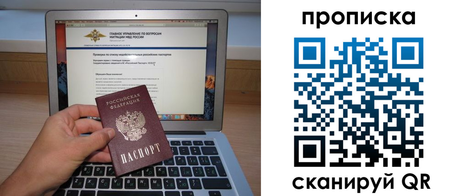 прописка поиск в Краснозаводске